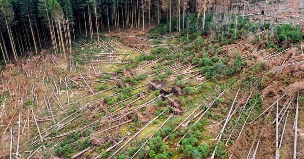 Ireland utilise des drones pour accélérer la restauration de l'électricité après les tempêtes