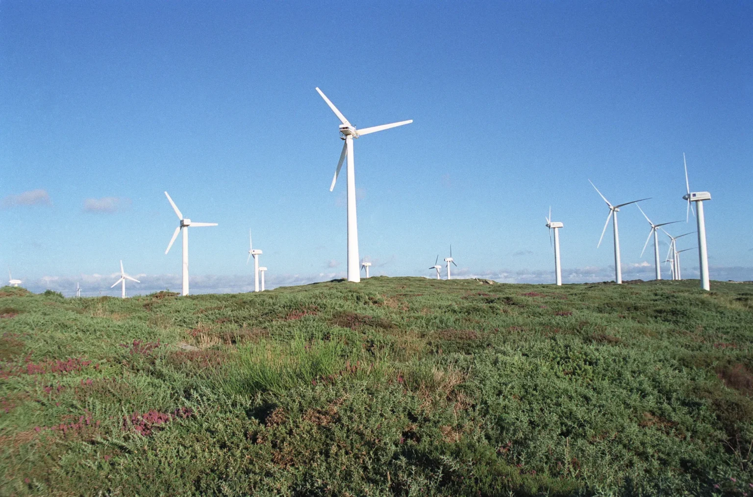 Titre proposé : Impact environnemental négatif sur le projet éolien Corus : enjeux et controverses