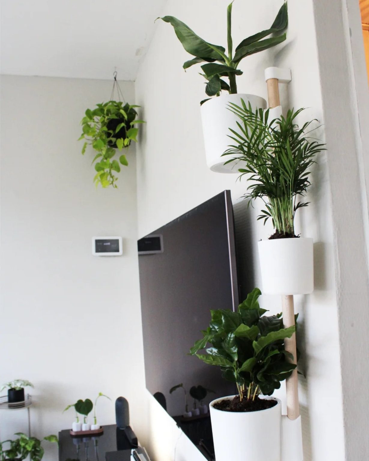 Découvrez le Rail V2 : le système de jardinière mural 3D imprimé, intelligent et ultra-pratique !