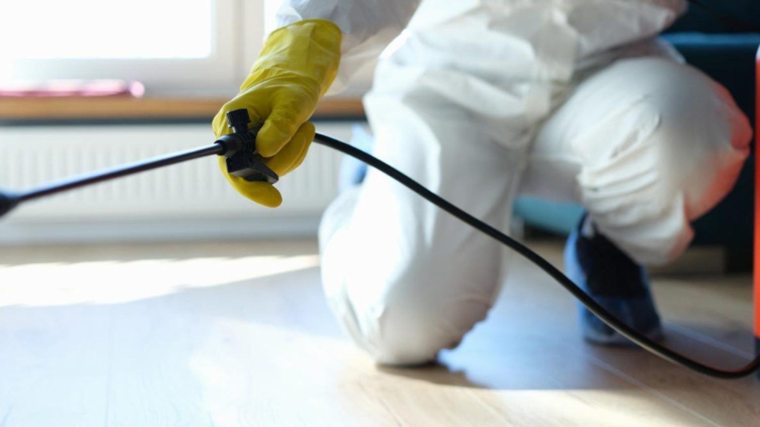 Quand faire appel à un dératiseur professionnel : guide et conseils pratiques