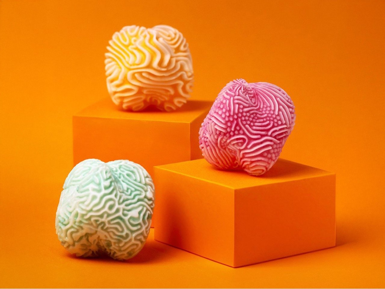 Coral Soaps Collection