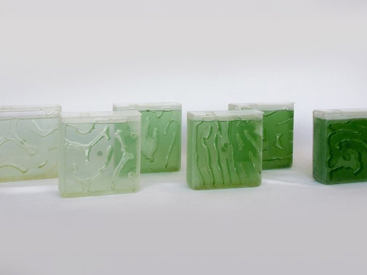 Micro-Algae Farm