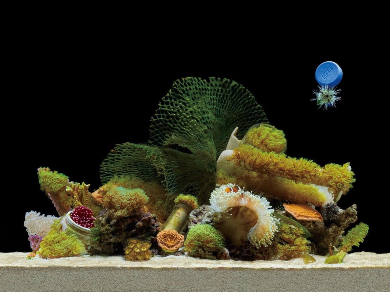 Marine Debris - Home