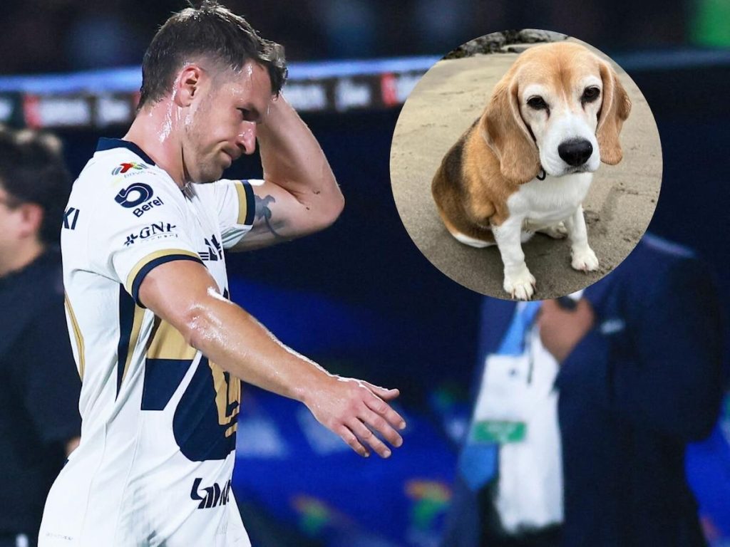 Aaron Ramsey se lance dans une quête émotive pour retrouver son chien perdu au Mexique