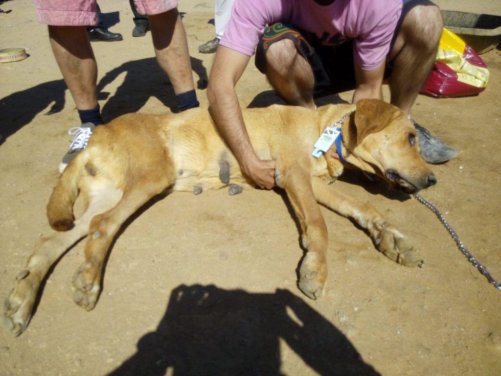 Ainsi s’est déroulé l’opération et l’enquête en cours : révélations sur les méthodes et enjeux.