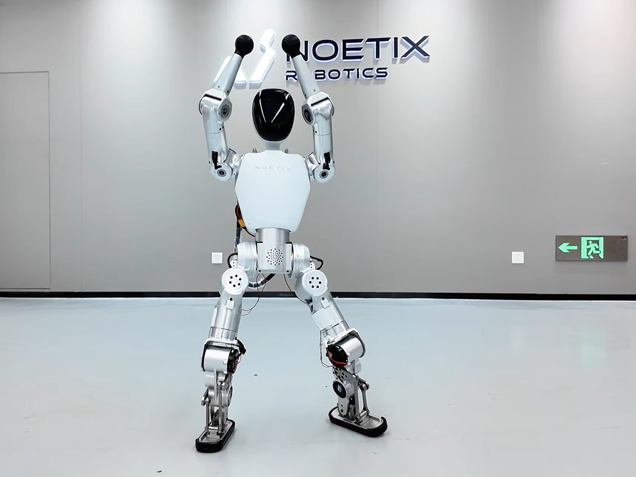 Bumi Robot
