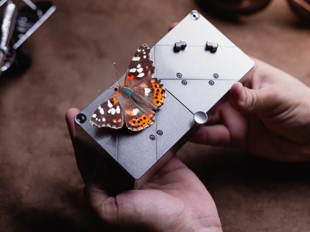 Découvrez Flutterbox : La Boîte de Rangement qui Allie Style et Innovation avec des Ailes Étonnantes !