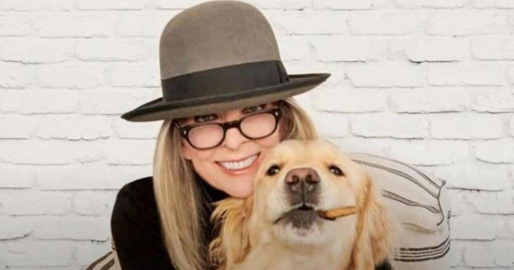 Diane Keaton et la fortune incroyable laissée à son chien Reggie : un héritage surprenant en millions d’euros