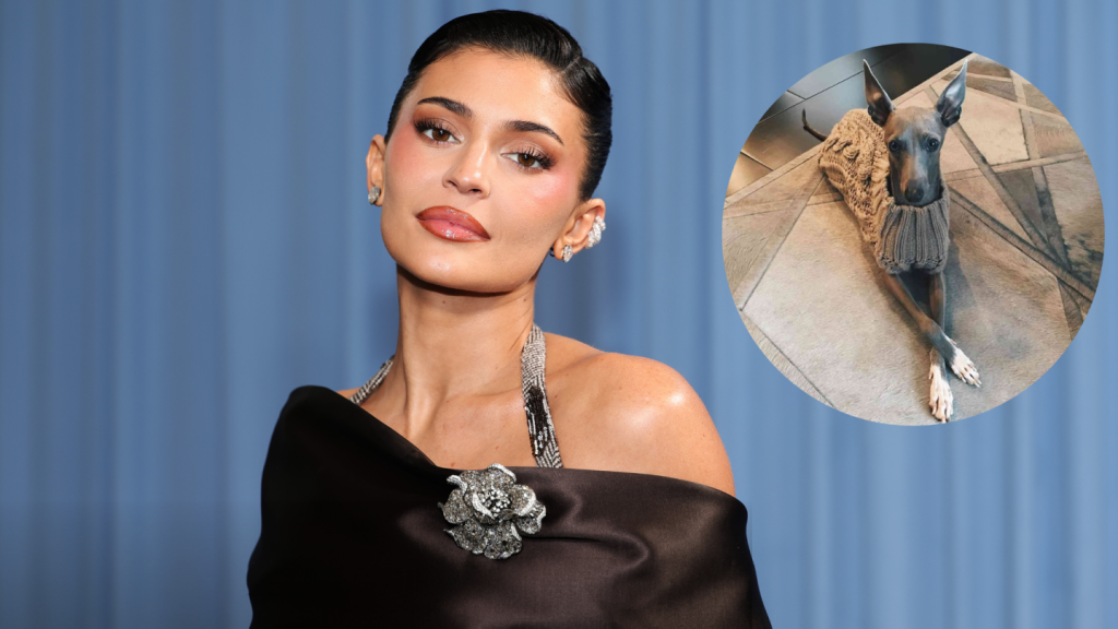 Cómo decir adiós a tu primer perro: un homenaje lleno de amor y recuerdos.