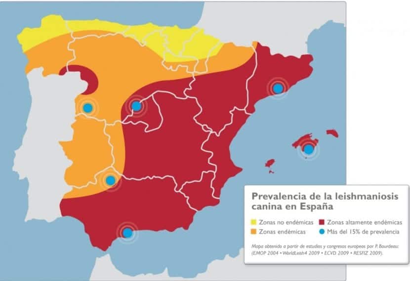 Carte de la leishmaniose en Espagne