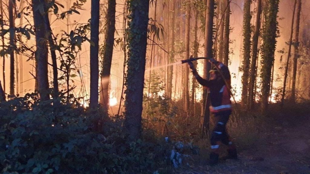 Incendie forestal controlado en el monte Areo de Gijón: medidas efectivas para la prevención y seguridad