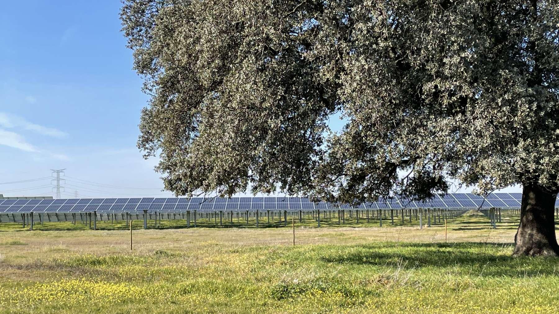 Énergie solaire et réduction des émissions en Espagne