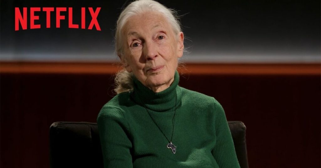 Les dernières paroles mémorables : Netflix lance son programme controversé Il controverso nuovo programma di Netflix sulle ultime parole famose