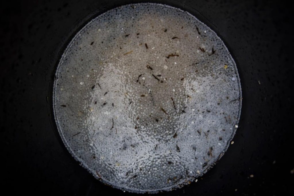 Microplastiques en mer : enjeux scientifiques, données clés et solutions essentielles