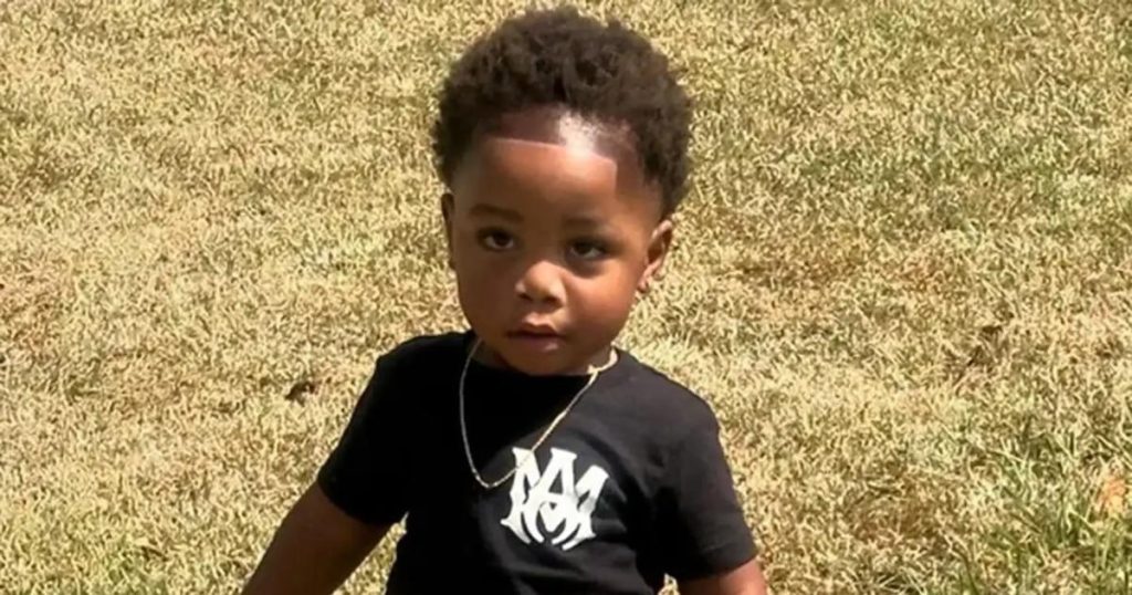 Un enfant de 2 ans perd la vie après l’attaque de rottweilers dans une garderie illégale en Géorgie : un drame choquant.