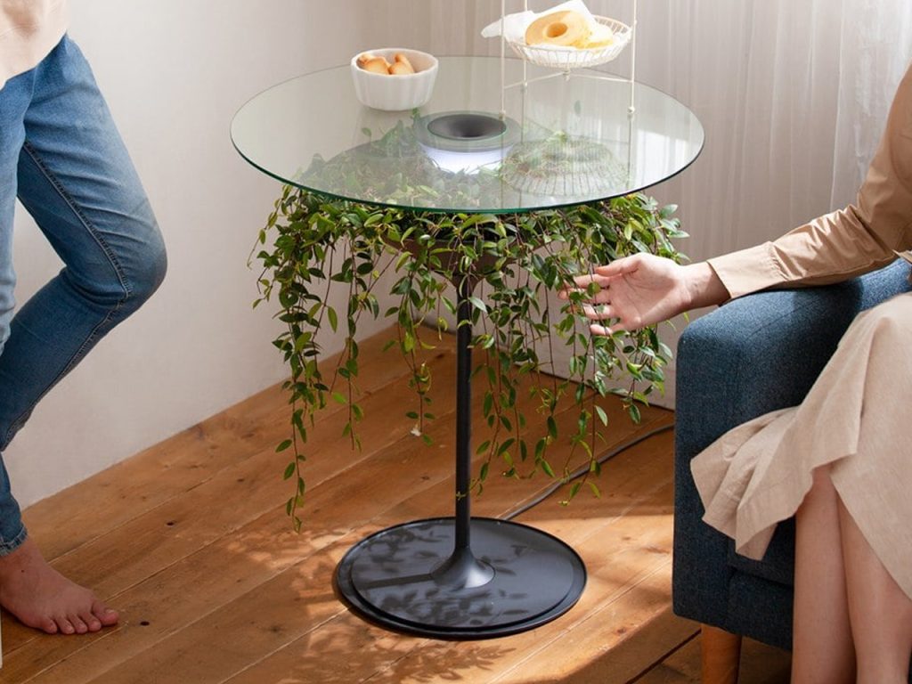 Découvrez les 5 Designs Biophiliques Incontournables pour Allier Éléments Verts et Bien-être