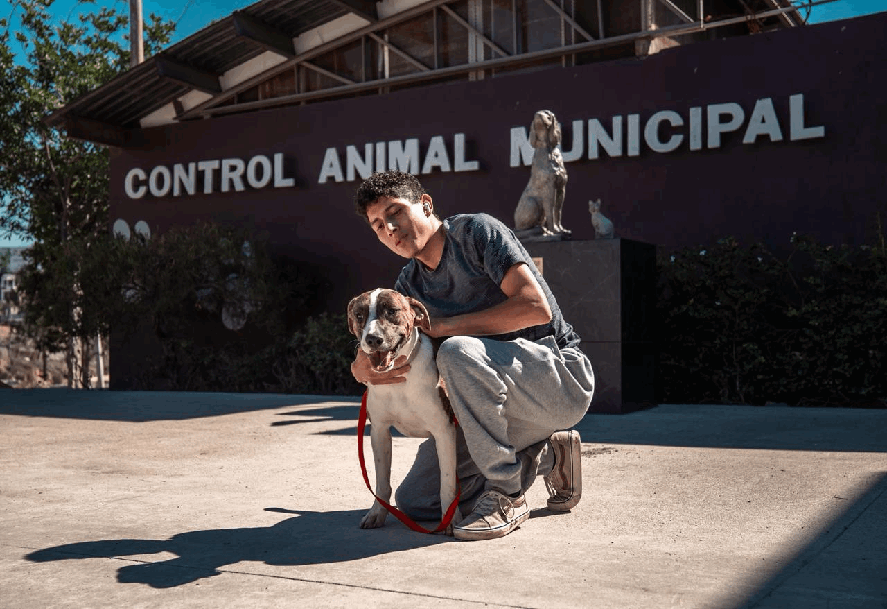 Bien-être animal en Tijuana