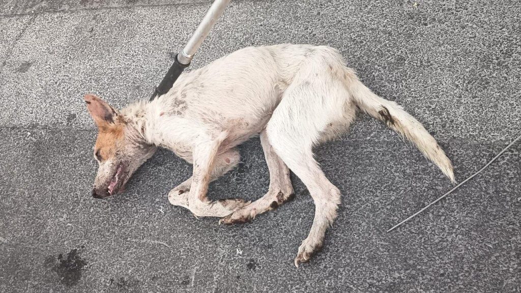 Campagnes, lois et exigences essentielles à maîtriser pour réussir votre projet