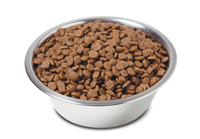 Causes, symptômes et traitements : la prévention sécurisée des problèmes de santé essentiels