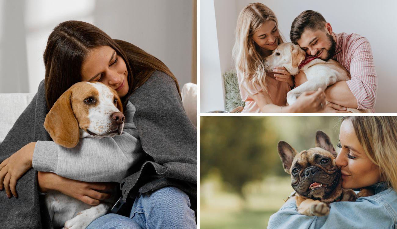 Chiens et chats disponibles à l'adoption à Bogotá