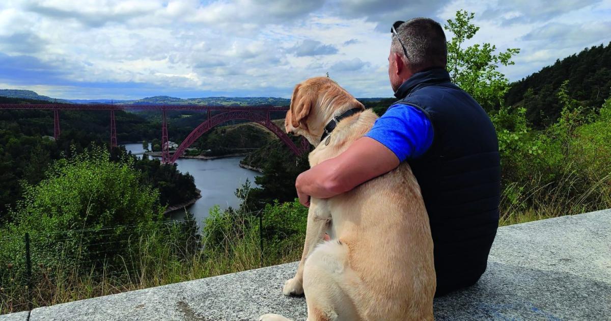 exhibición de perros guía