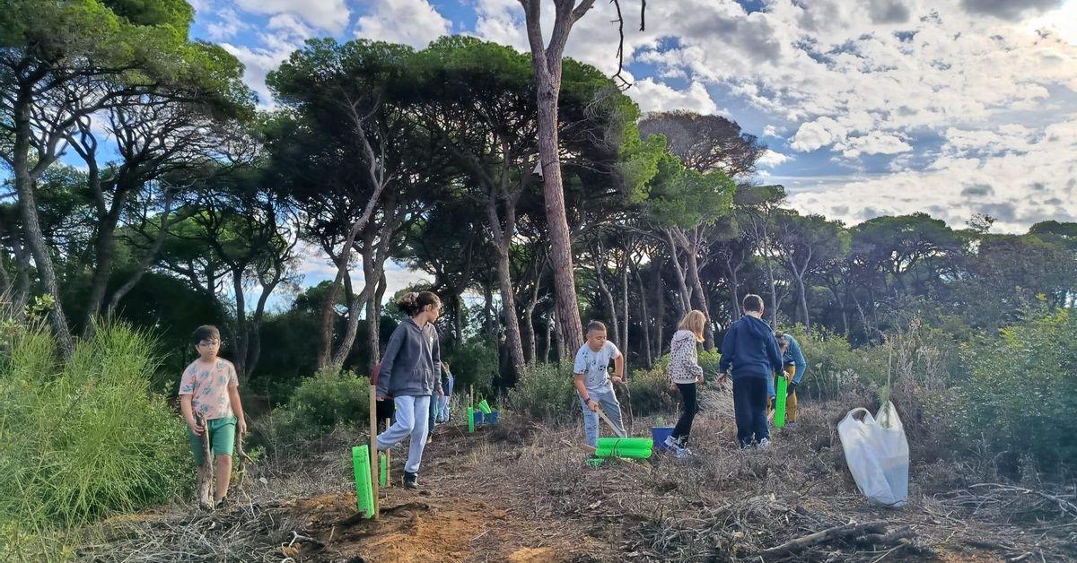 Plantation de arbres autóctones