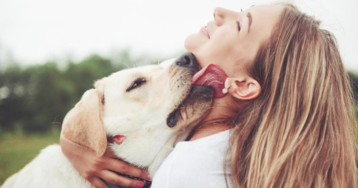 Gènes partagés entre humains et golden retrievers