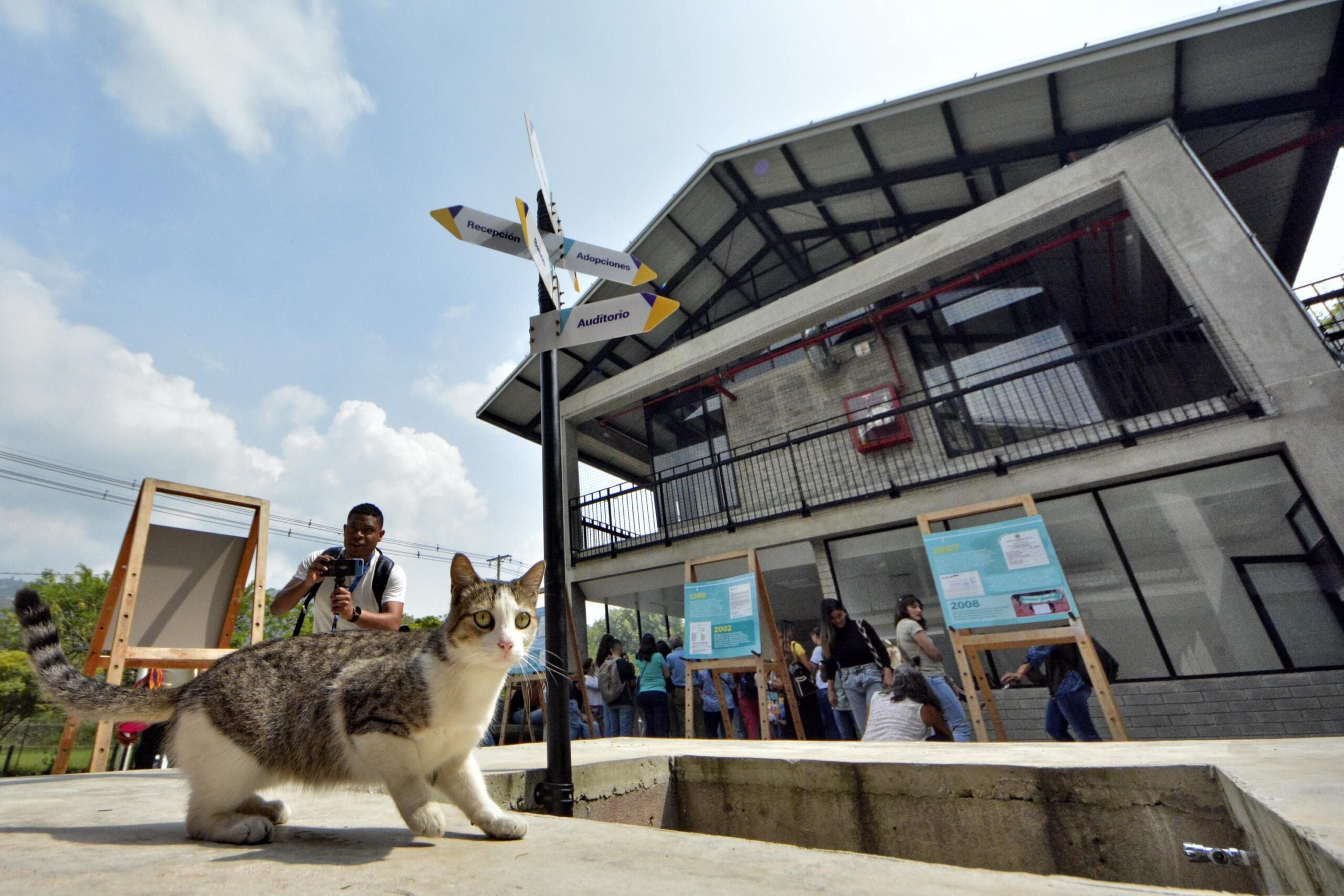 Événement d'adoption mall à Cali