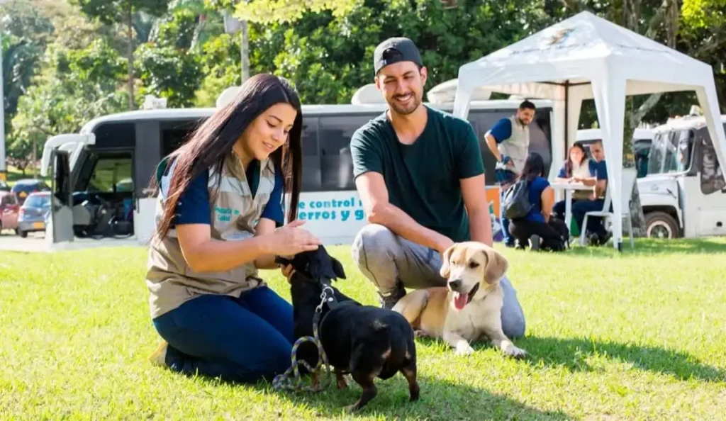 Adoptez un compagnon ce week-end à Cali : horaires, lieu et conditions pour la jornada d’adoption