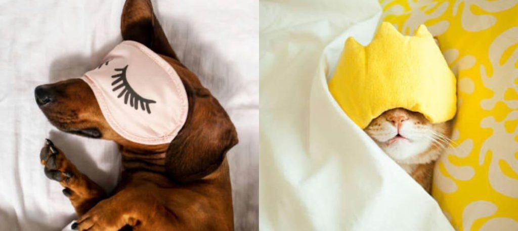 Bienfaits, risques et meilleures pratiques pour réussir : un guide complet pour optimiser vos stratégies.