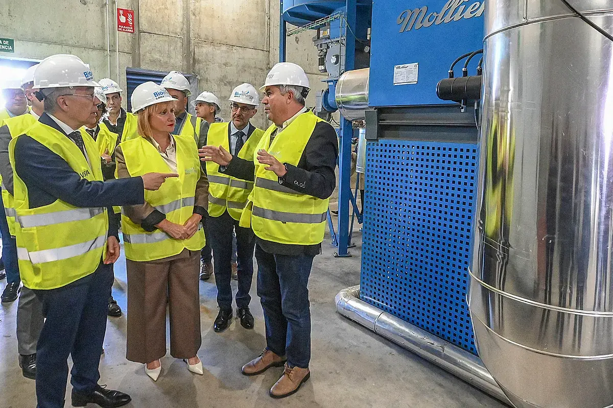 Planta de biomasa en Burgos