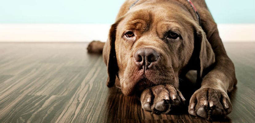 Causes, signaux et solutions : comment agir face à un problème courant ?