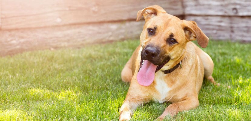 Pourquoi et comment protéger vos biens tout au long de l’année : conseils pratiques pour une sécurité optimale