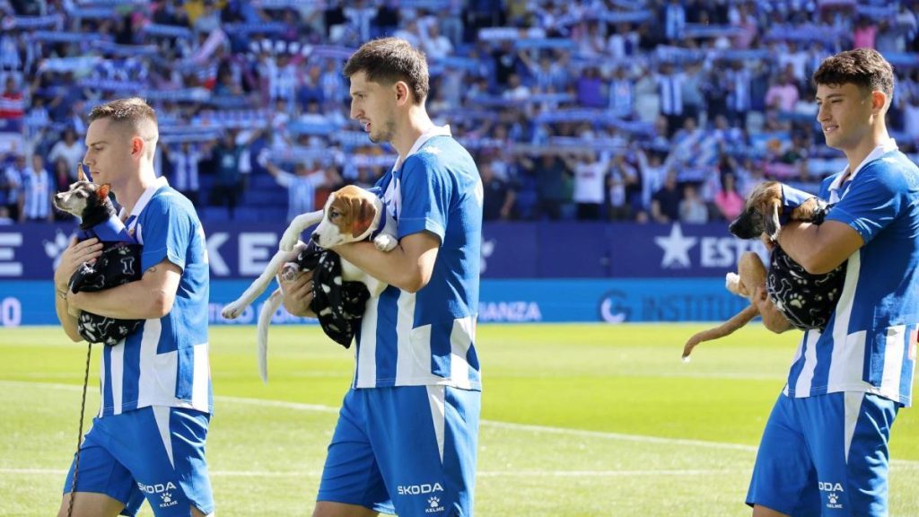Espanyol et ses joueurs : une sortie canine inédite avec 11 chiens en adoption