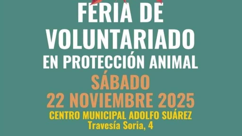 Alcorcón organise une foire de bénévolat pour la protection des animaux : engagez-vous pour une cause noble
