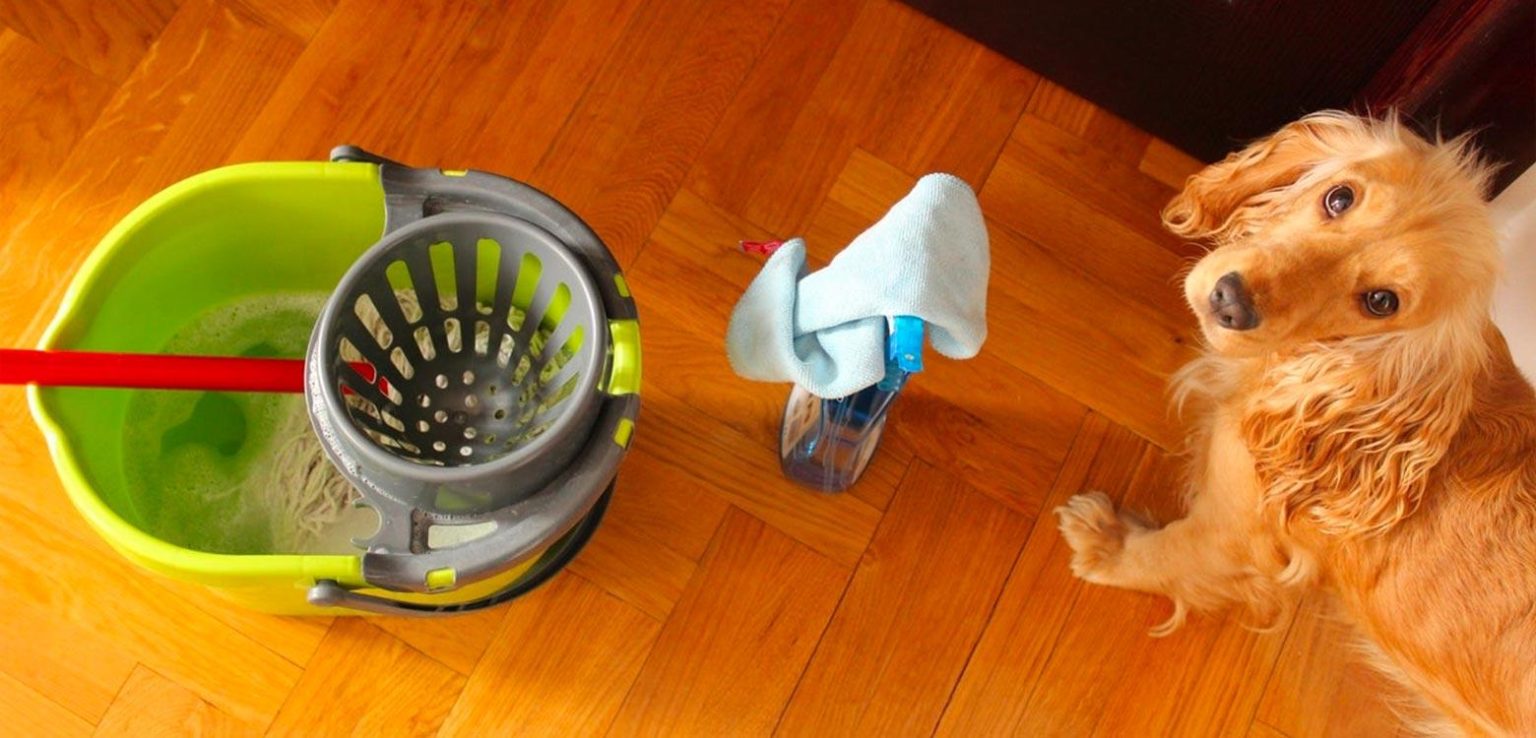 Guide complet de prévention des risques et stratégies d’intervention efficace