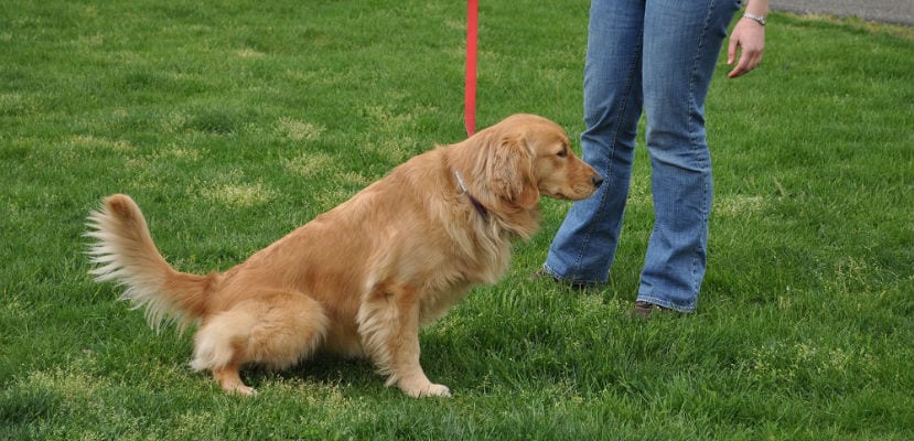 Signes, causes et solutions pour une propreté optimale : guide de nettoyage efficace et durable