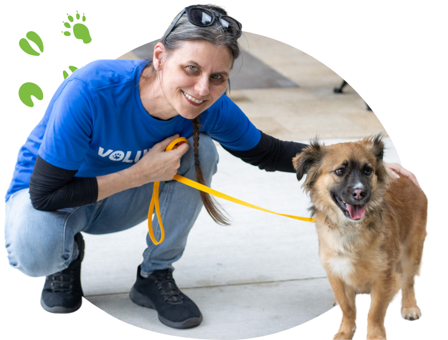 Protecteurs d'animaux