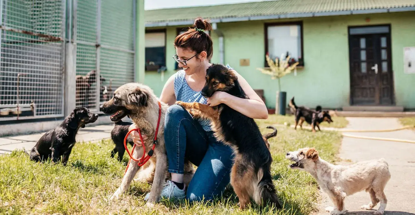 Protectores d'animaux