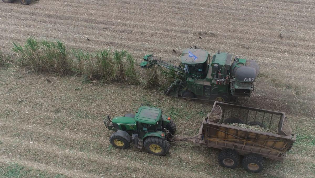 zafra tucumana récord de molienda zafra tucumana récord de molienda