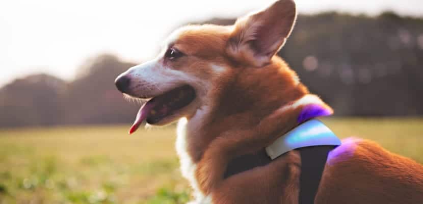 Comment fonctionne l’IA : modèles et portée en action