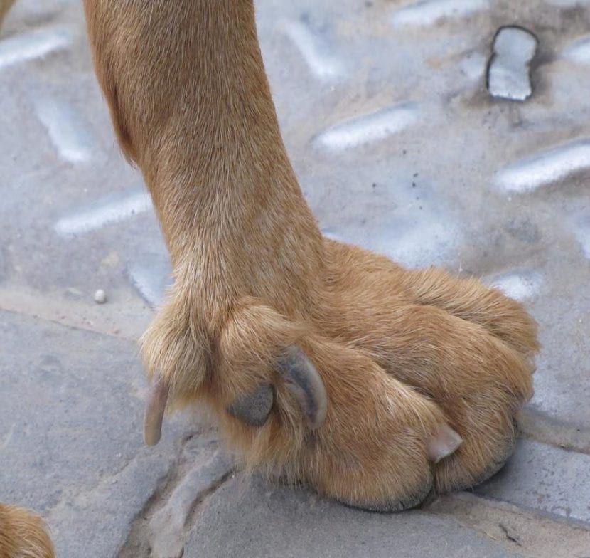 Guide complet : soins et dépannage simplifiés pour vos appareils électroménagers.