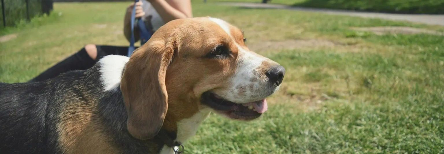 Soins, santé, exercice et alimentation : optimisez votre bien-être au quotidien