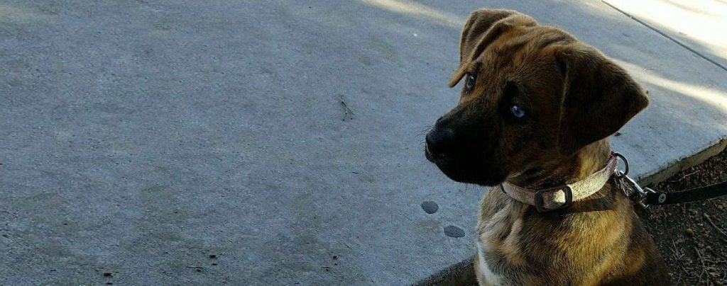 « Origine des soins et santé au quotidien : adopter des habitudes de vie durables »