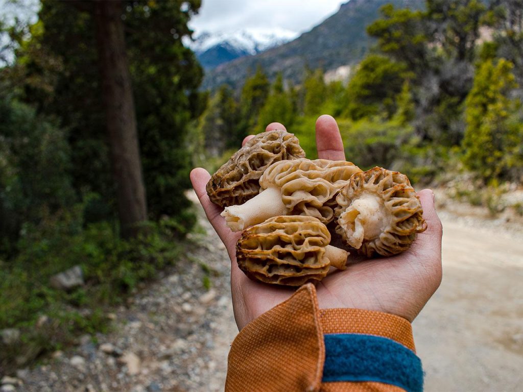 « Especes incontournables selon les saisons : clés pour une réussite assurée »