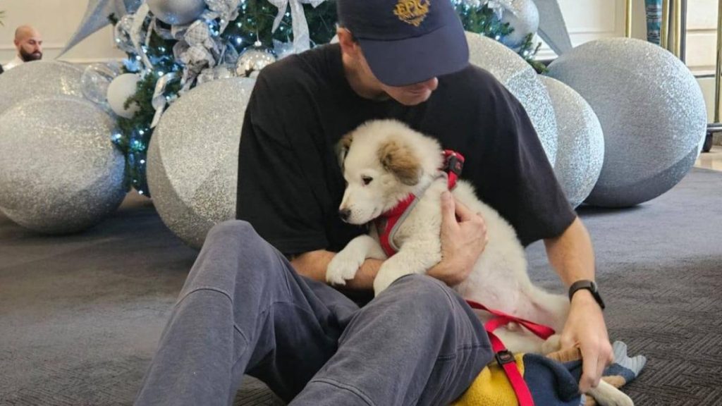 Un membre de l’équipe de Shakira adopte un chiot sauvé en Équateur pendant la tournée musicale