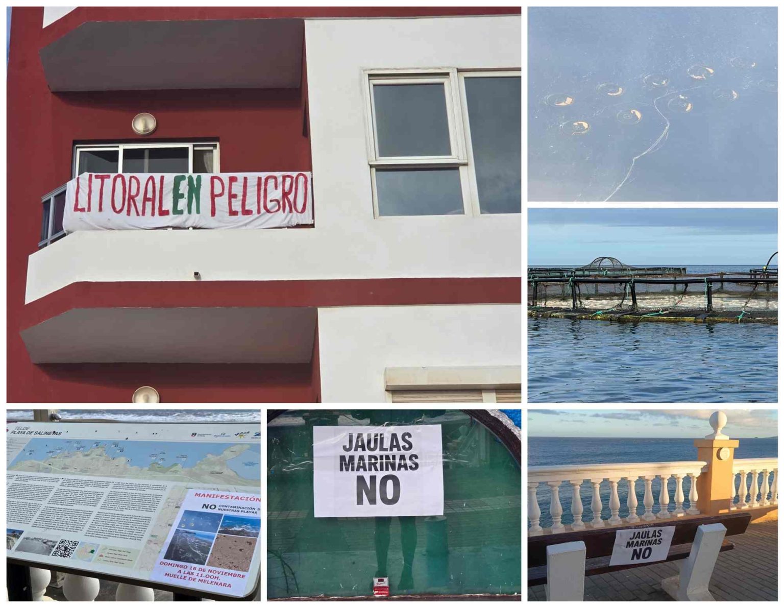 Une mobilisation citoyenne s’active à Telde pour lutter contre la pollution marine