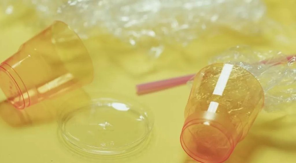 « Aliments innovants : espumas et nouvelles obligations pour une cuisine moderne »