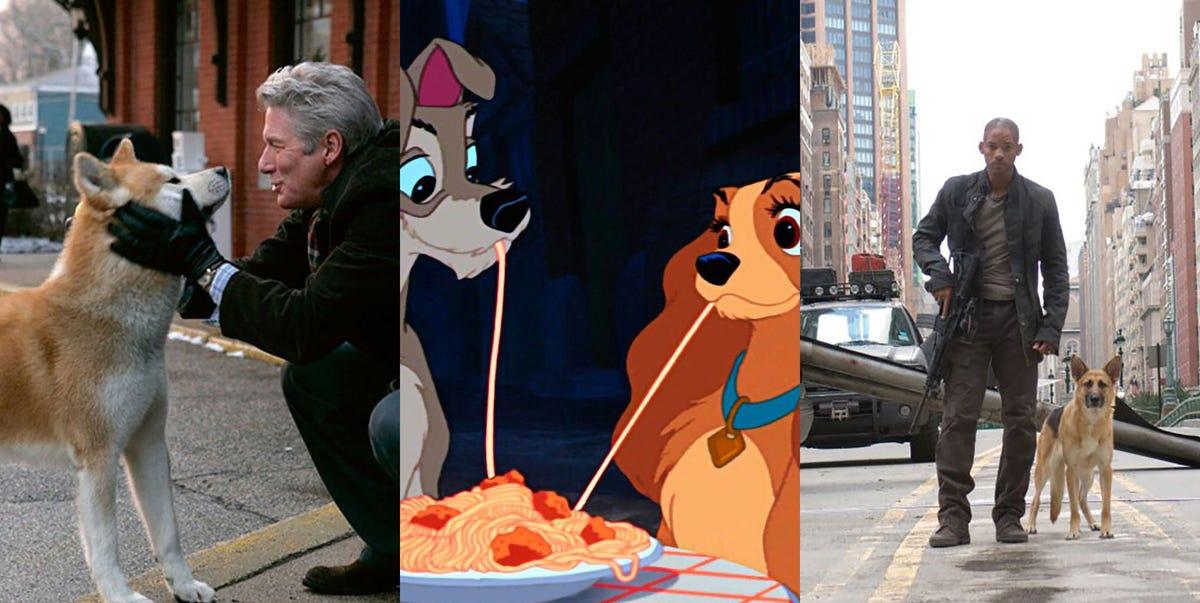 films de chiens et nature