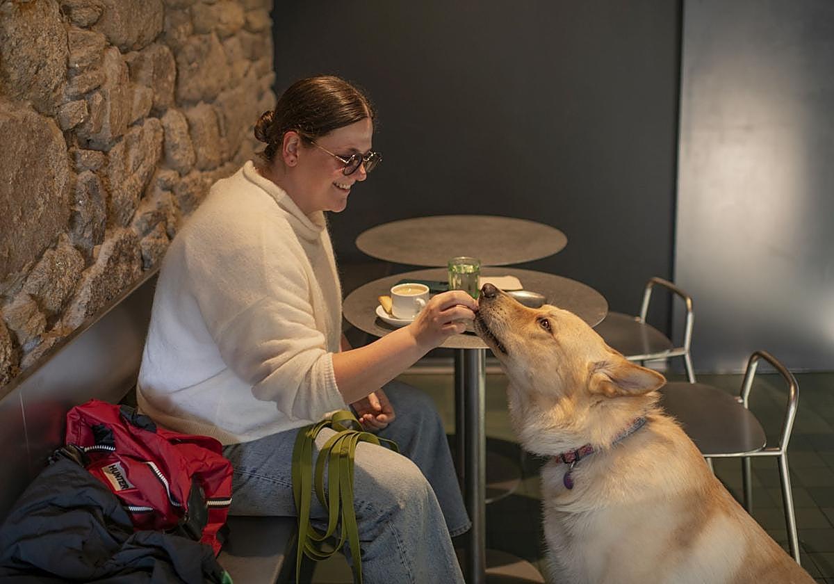Locales pet friendly en Bilbao Locales pet friendly en Bilbao